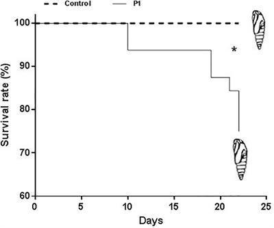 Trichoderma atroviride P1 Colonization of Tomato Plants Enhances Both Direct and Indirect Defense Barriers Against Insects